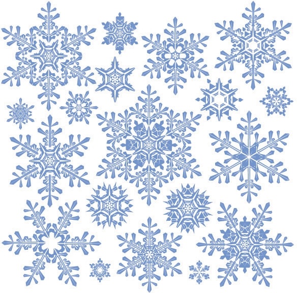 584x576 Variety Of Snowflakes Vector 2 Free Vector In Encapsulated