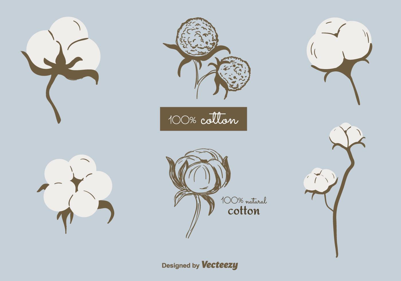 1400x980 Free Cotton Plant Vector