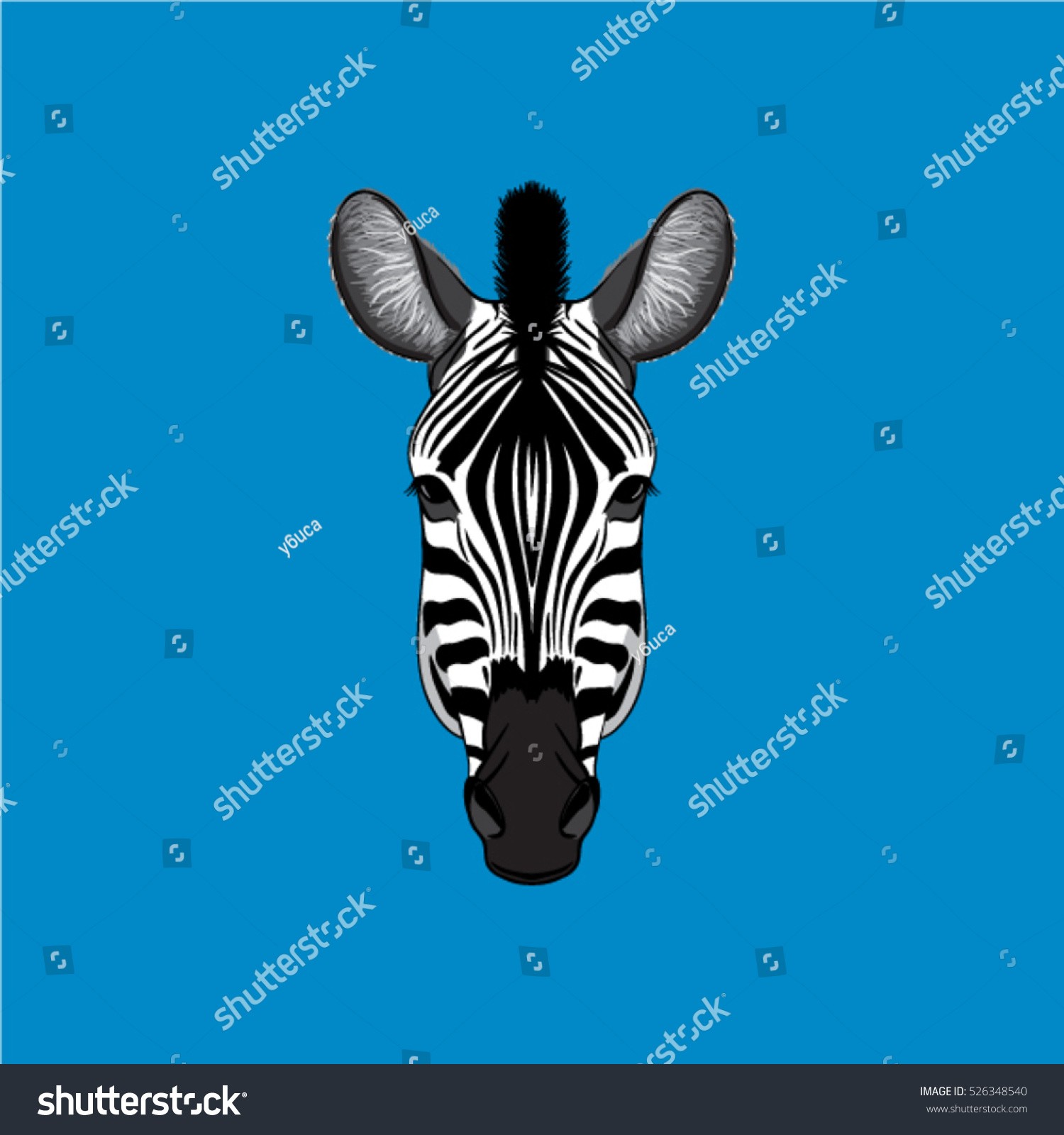 1500x1600 Zebra Face Valid Zebra Face Vector Stock Vector Royalty Free