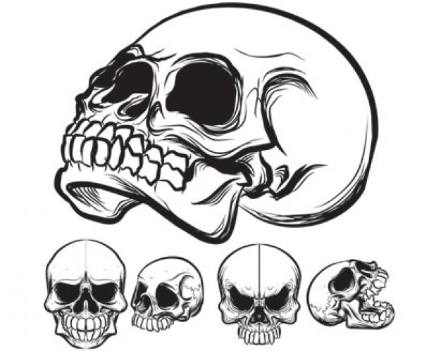 626x499 Confederate Flag With Skull Background About Skull Wars Download