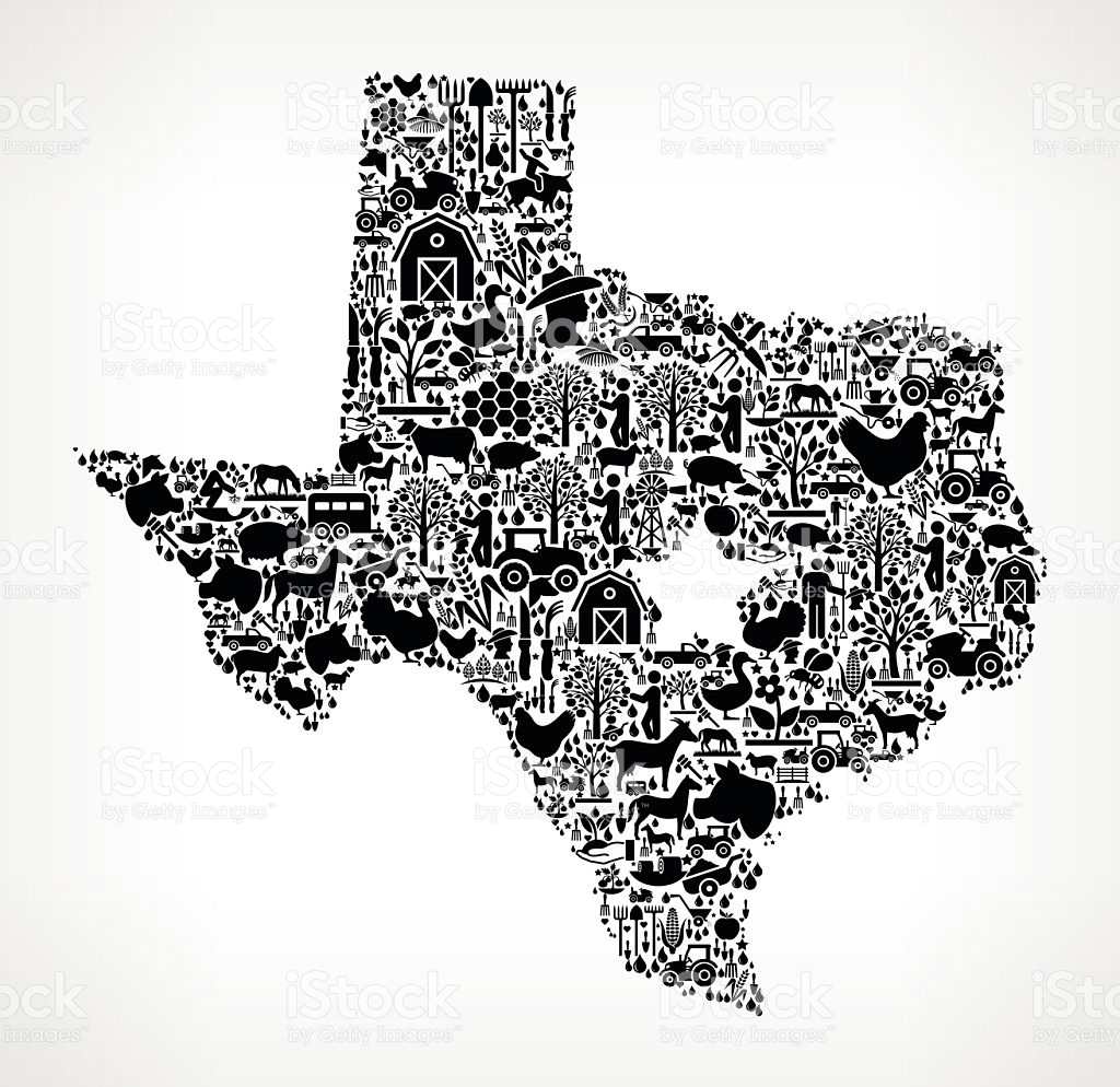 1024x994 Free Texas Icon Vector 9871 Download Texas Icon Vector