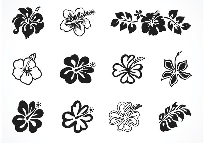 700x490 Free Vector Hibiscus Silhouettes 108391