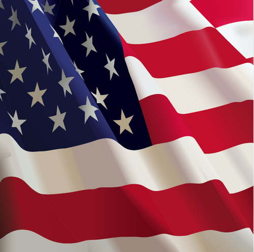 500x496 Buy Vector American Usa Flag Waving Icon Logo Graphic Royalty Free