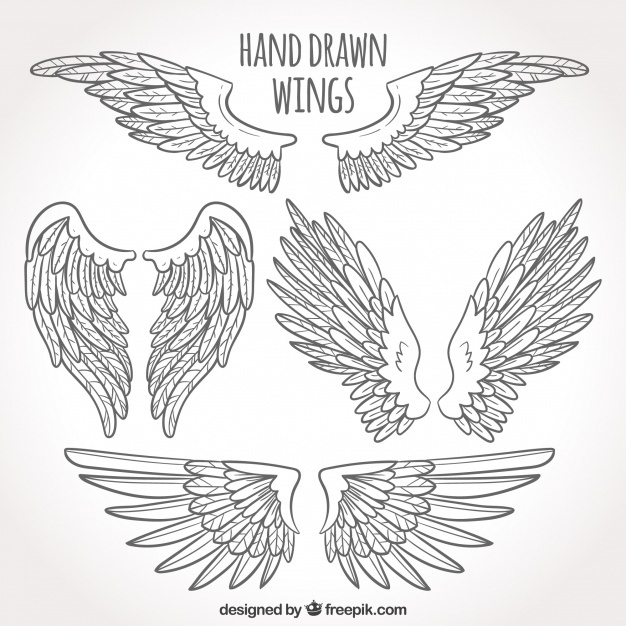 626x626 Angel Wings Vectors, Photos And Psd Files Free Download