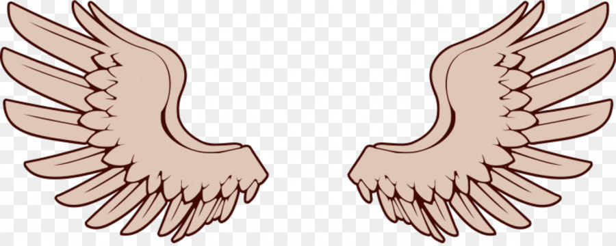 900x360 Bird Wing Clip Art