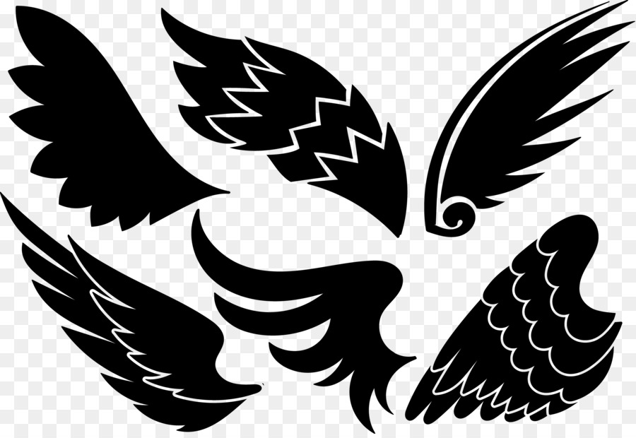 900x620 Euclidean Vector Angel Aile