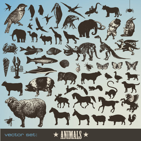 595x595 Animals Vector Free Vector 4vector