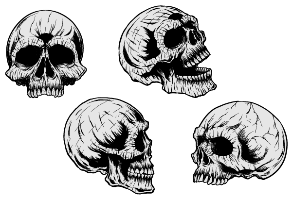 600x410 Free Free Vector Skulls Psd Files, Vectors Amp Graphics