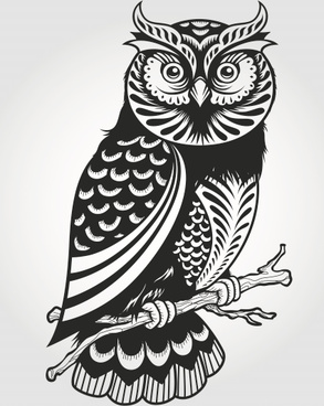 293x368 Free Owl Vector Graphics Free Vector Download (291 Free Vector