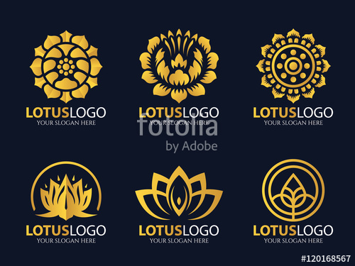 500x375 Gold Lotus Logo Vector Art Set Design Stock Image And Royalty