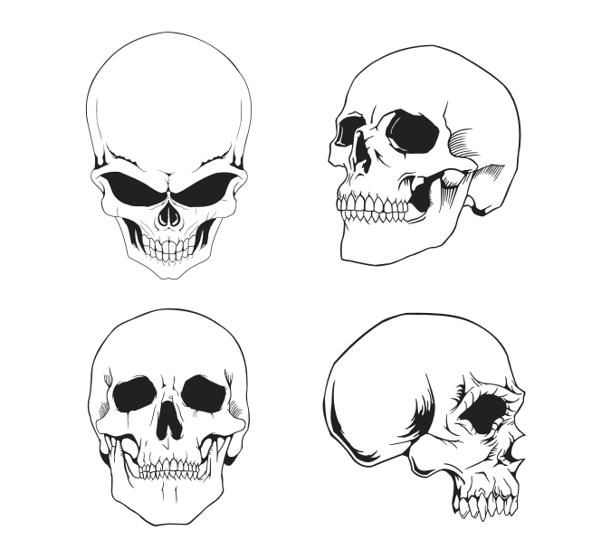675x618 Skull Vector Art Group With Items