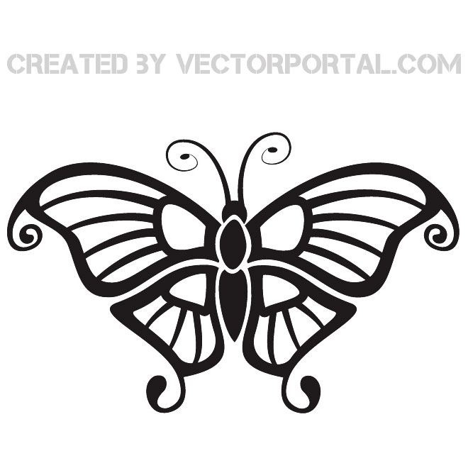 660x660 Tarantula Spider Vector Graphics