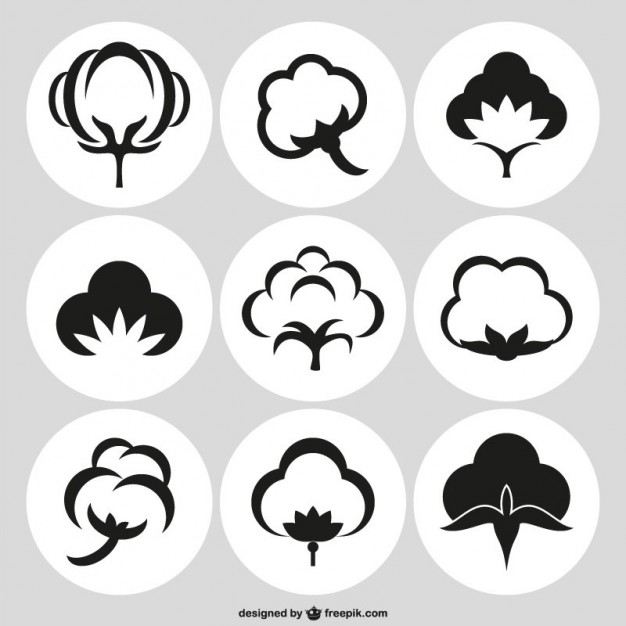 626x626 Cotton Vectors, Photos And Psd Files Free Download