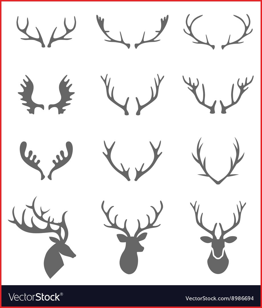 919x1080 Deer Antlers Drawing 141625 Hand Drawn Deer Antlers Royalty Free
