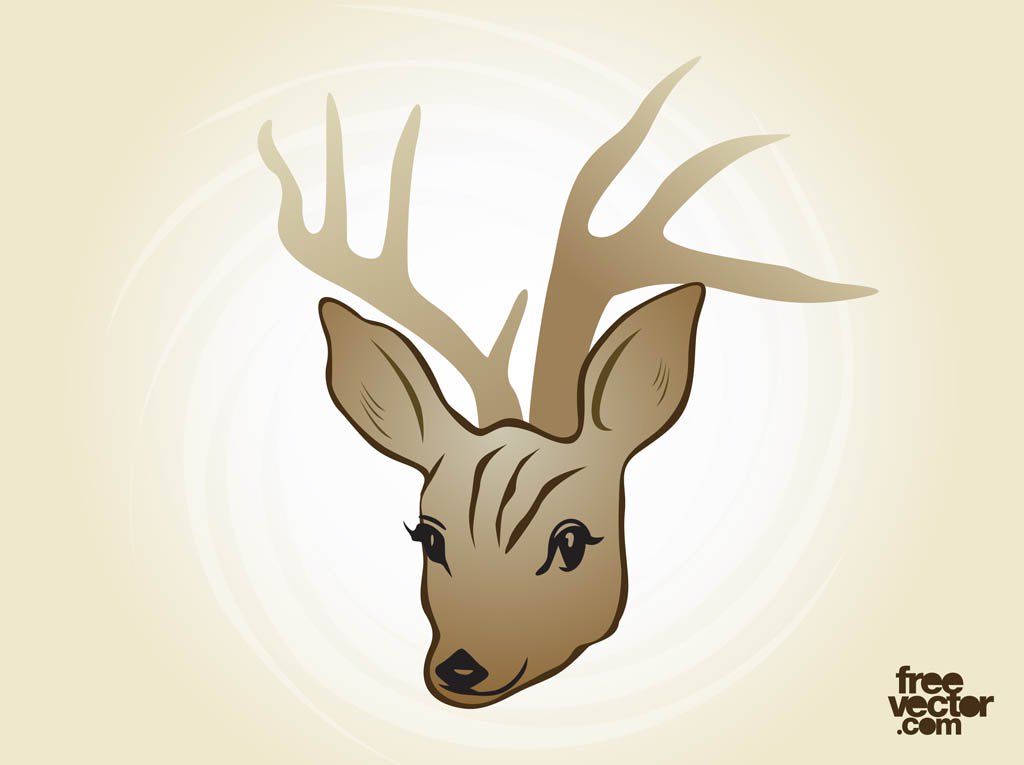 1024x765 Deer Vector Vector Art Amp Graphics