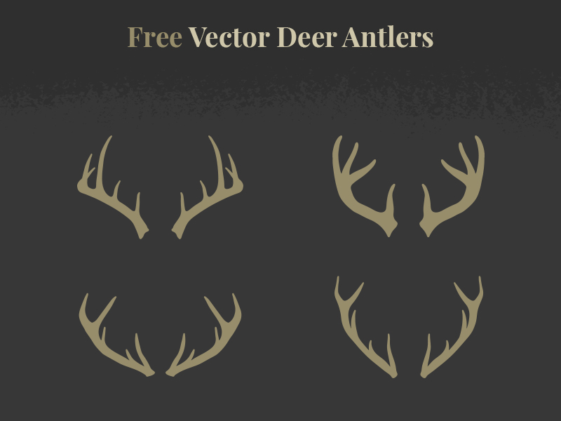 800x600 Free Vector Deer Antlers By Adrian Pelletier