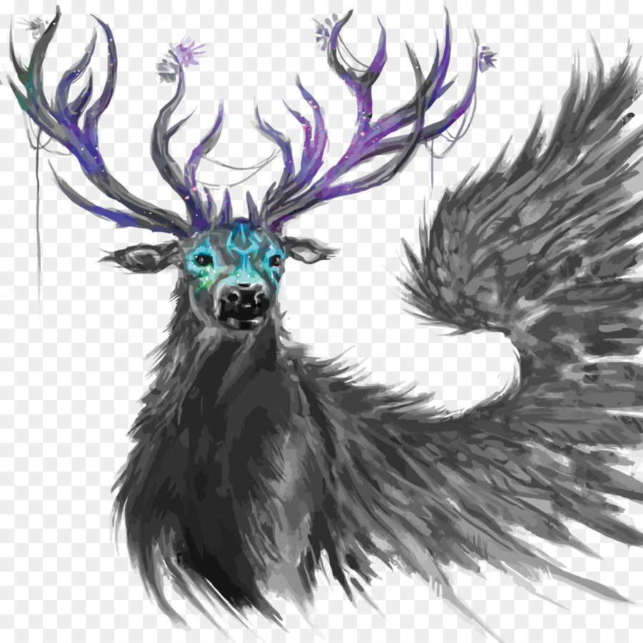 900x900 Reindeer Red Deer Antler Drawing