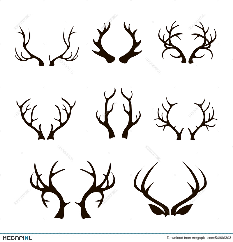 800x830 Vector Deer Antlers Silhouette Isolated On White Illustration