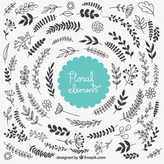 626x626 Floral Decorative Elements Vector Free Download