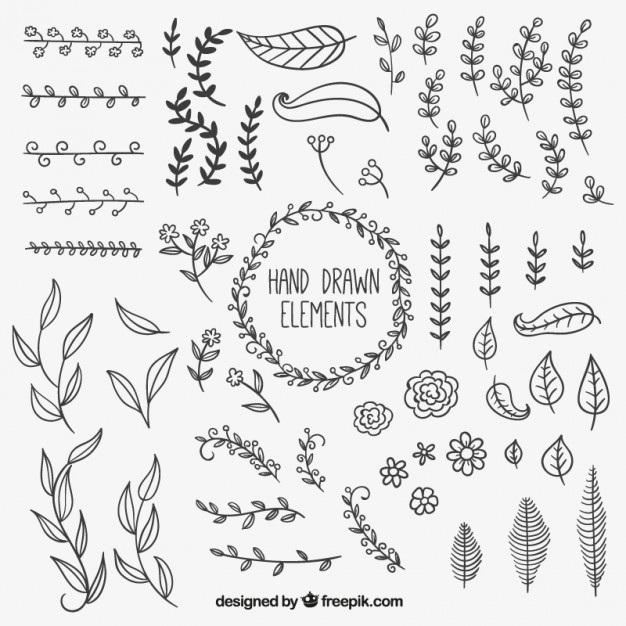 626x626 Hand Drawn Natural Decoration Elements Vector Free Download