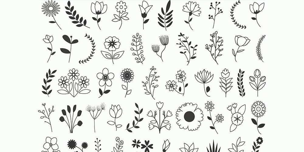 1000x500 Vector Decorative Web Elements Css Author