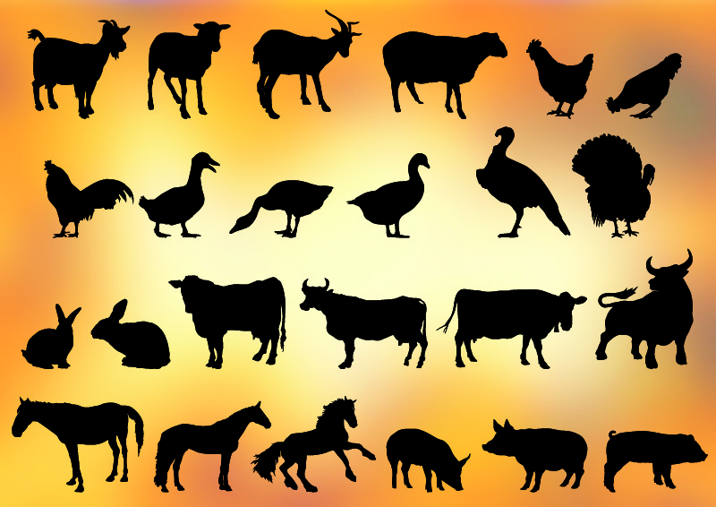 Free Vector Farm Animals