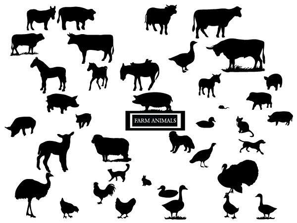 600x451 Huge Collection Of Free Plants Animals Amp Insect Vectors Creative