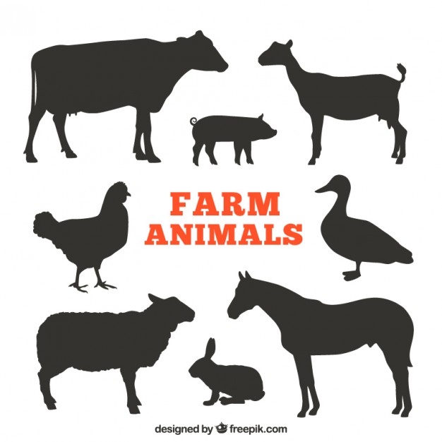 626x626 Silhouettes Of Farm Animals Vector Free Download