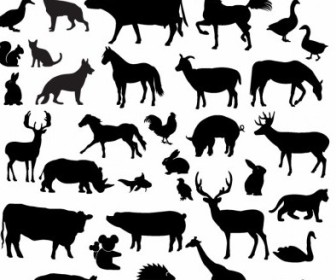 336x280 All Free Cow Vector Graphics