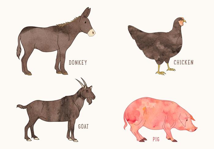 700x490 Farm Animals Free Vector Art