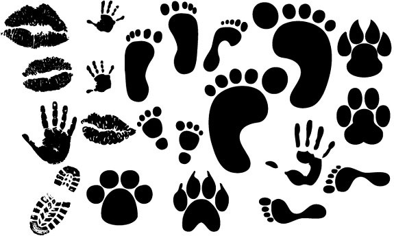 575x344 Footprint Free Vector Download (119 Free Vector) For Commercial