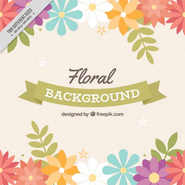 626x626 Floral Background With Beautiful Colorful Flowers Vector Free