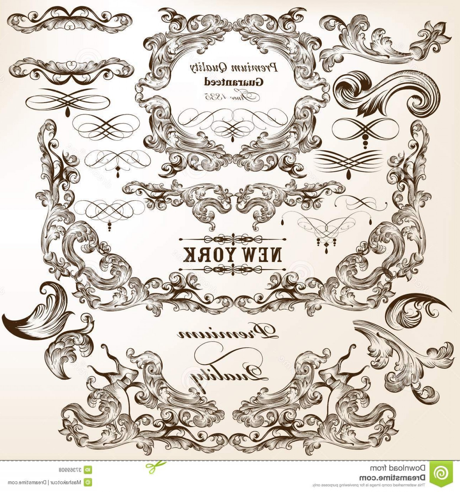 1560x1668 Royalty Free Stock Photos Collection Vector Decorative Flourishes