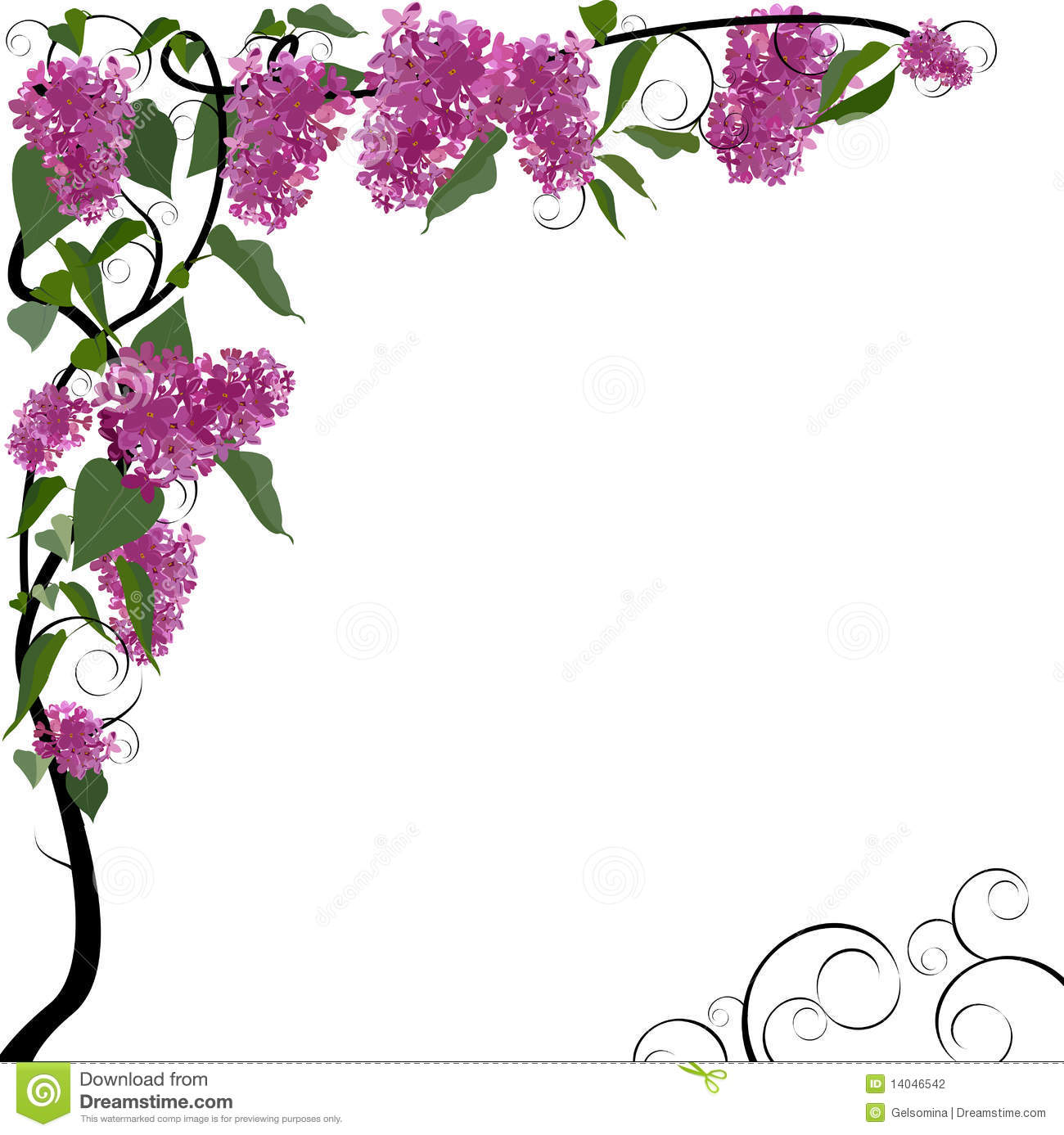 1300x1387 Floral Border Images
