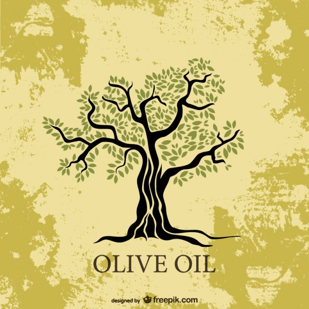626x626 Olive Tree Vector Free Download