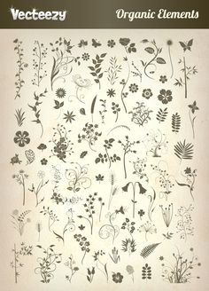 236x328 53 Best Free Vector Files Images Drawings, Vectors