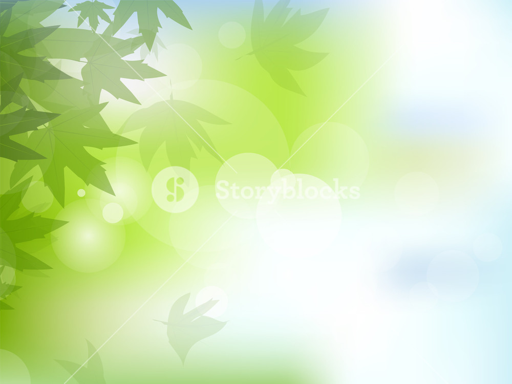 1000x750 Vector Nature Background. Royalty Free Stock Image