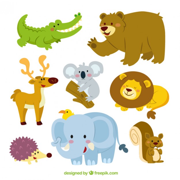 626x626 Koala Vectors, Photos And Psd Files Free Download