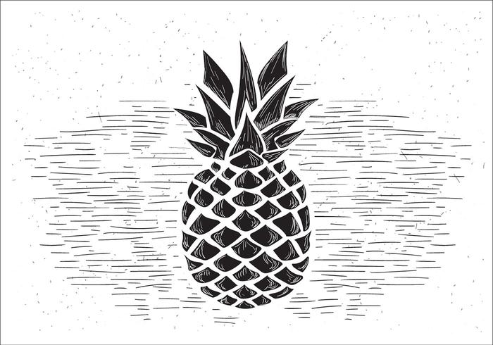 700x490 Vector Pineapple Illustration