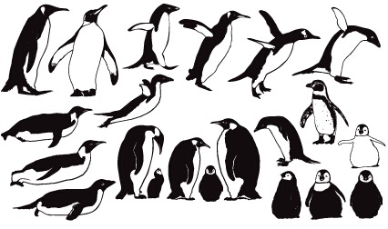 426x252 Penguin Cute Vector And Photoshop Shapes Free Download