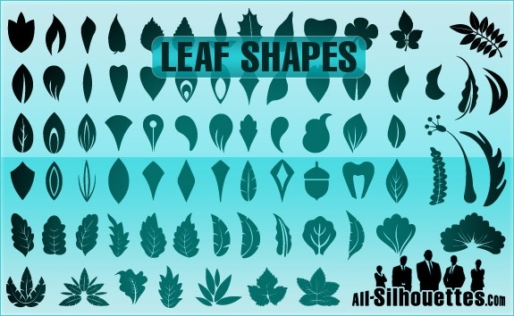 575x354 Vector Leaf Shapes Free Vector In Adobe Illustrator Ai ( .ai