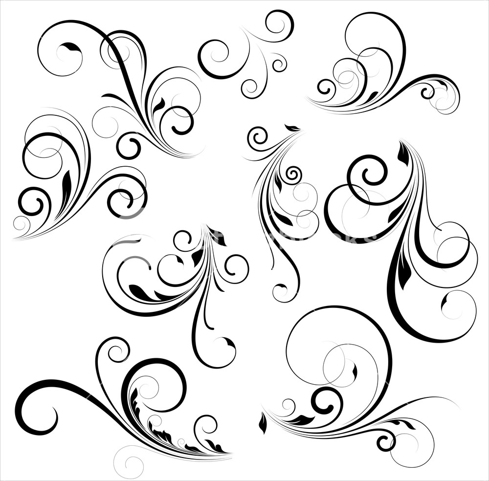 1000x984 Vector Swirls Royalty Free Stock Image