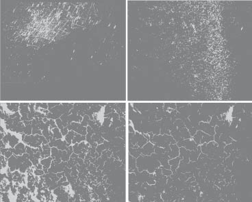 368x295 Free Vector Textures Pmd Creative