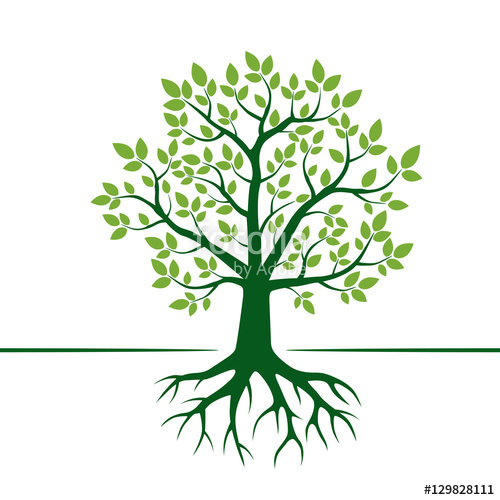 500x500 Green Vector Tree And Roots. Vector Illustration. Stock Image And