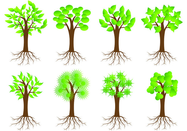 632x443 Icon Of Tree With Roots Free Vector Download 433655 Cannypic