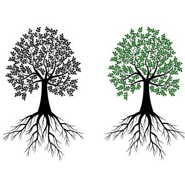380x400 Tree And Roots Symbol Tree Silhouette Vector 714704