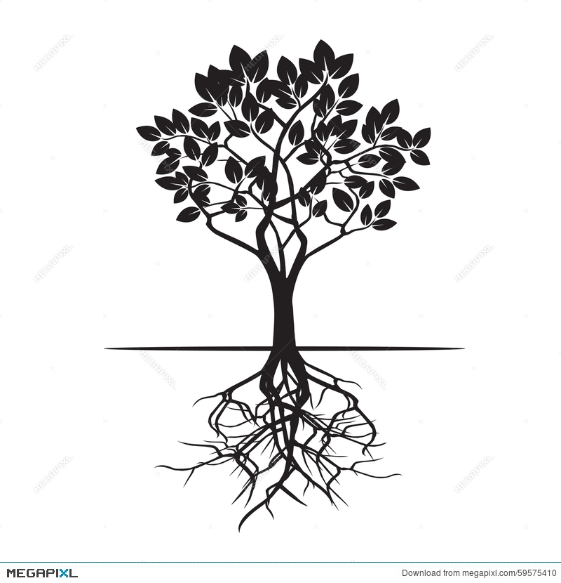 800x830 Tree And Roots. Vector Illustration. Illustration 59575410