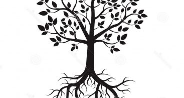 367x195 Tree Roots Logo Vector Free Vector Art, Images, Graphics Amp Clipart