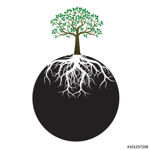 500x500 Color Tree And Roots. Vector Illustration Of Globe. Stock Image