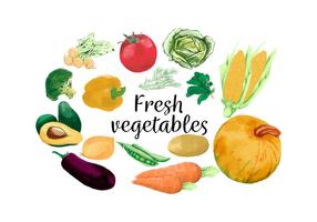 286x200 Watercolor Vegetables Free Vector Art